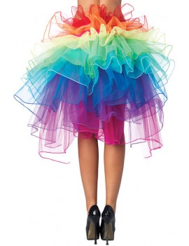 Ribbon Tie Rainbow Tulle Petticoat