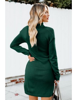 Green Long Sleeve Tie Waist Turtleneck Pullover Sweater Dress